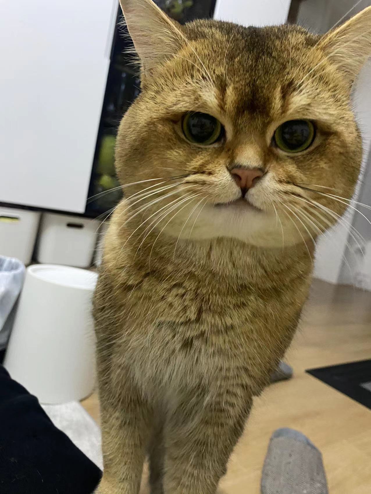 IMG_0131 - 副本.JPG